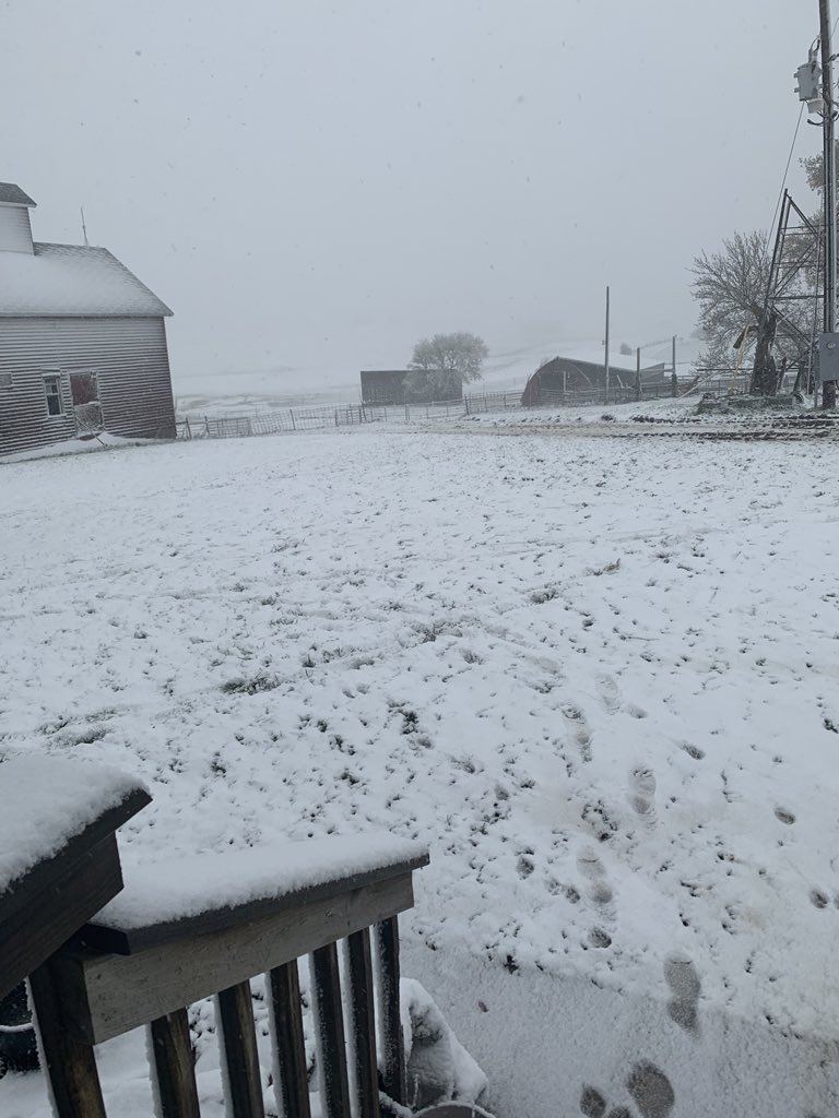 Snowfall in Ivanhoe, MN