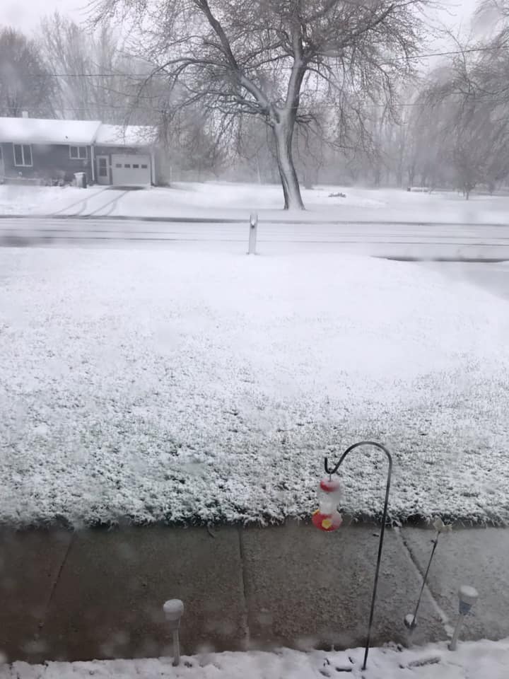 Snowfall at Tyler, MN
