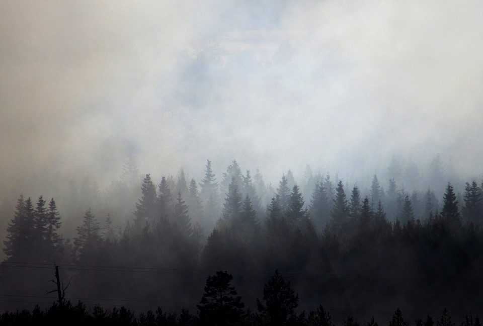 Smoke and Wildfire Safety