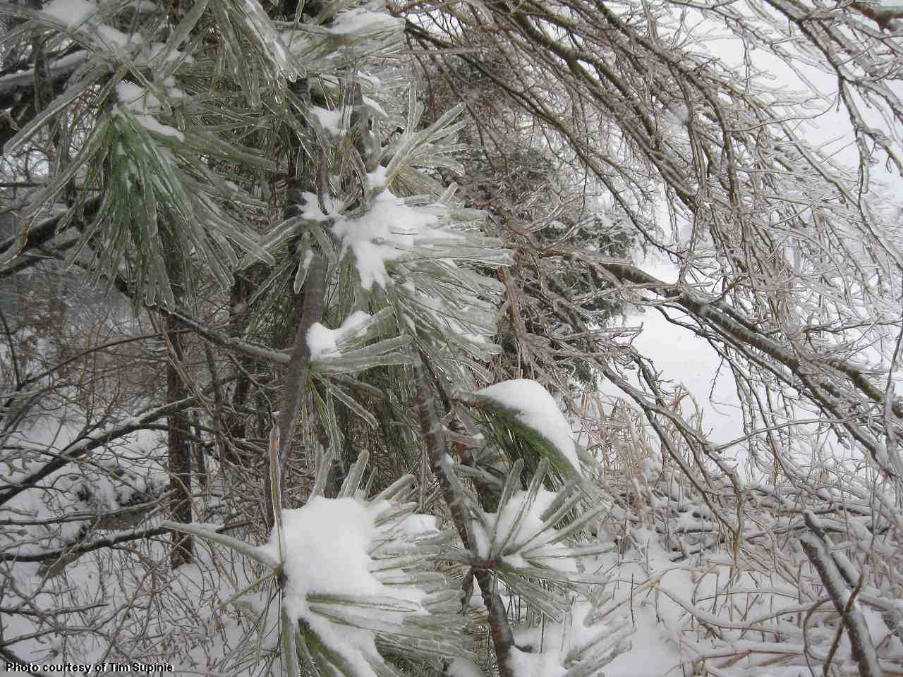 Winter Weather Photo