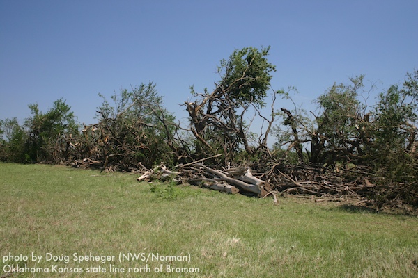 Tree damage at the Oklahoma-Kansas state line north of Braman