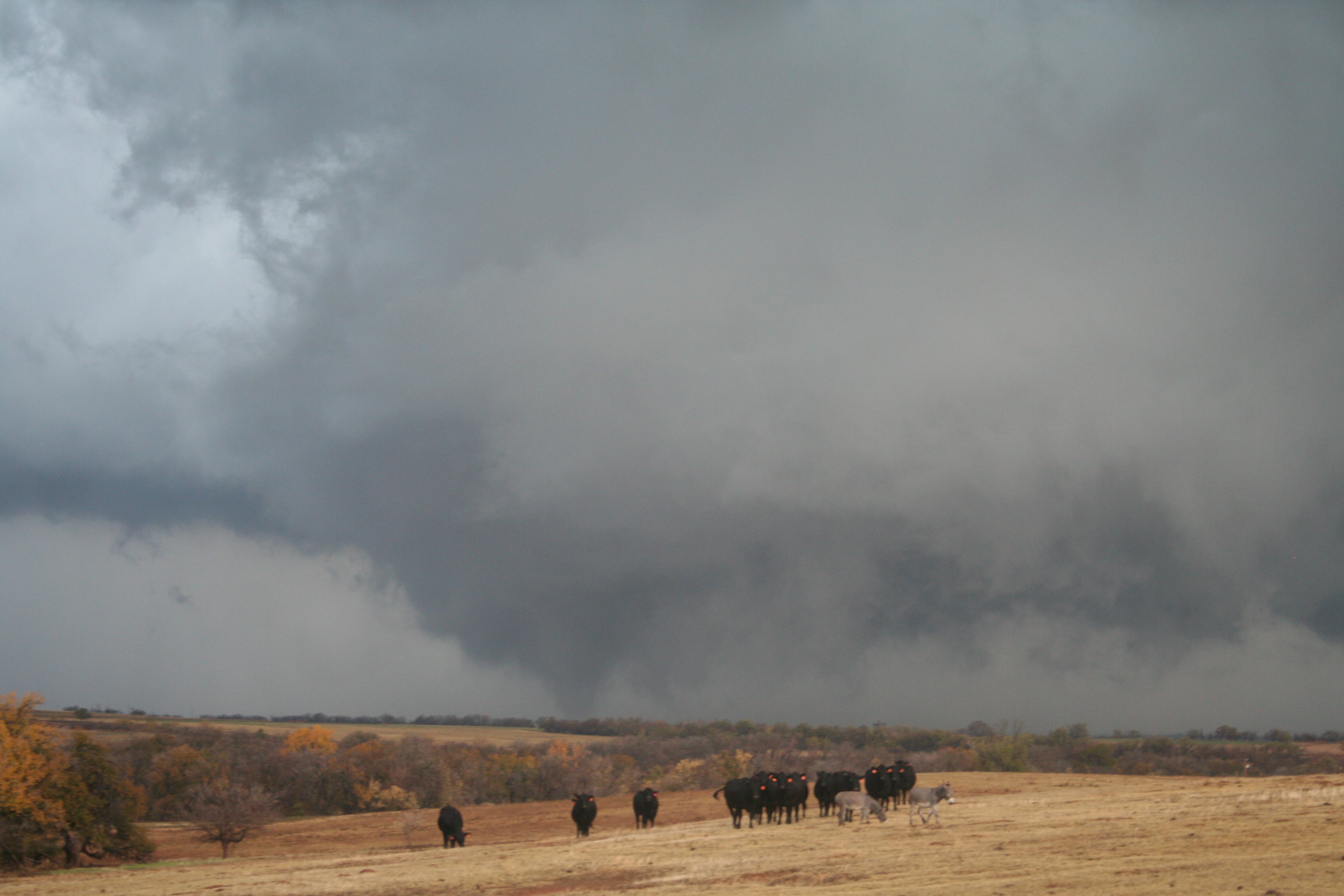 Tornado near Fort Cobb, OK on November 7, 2011