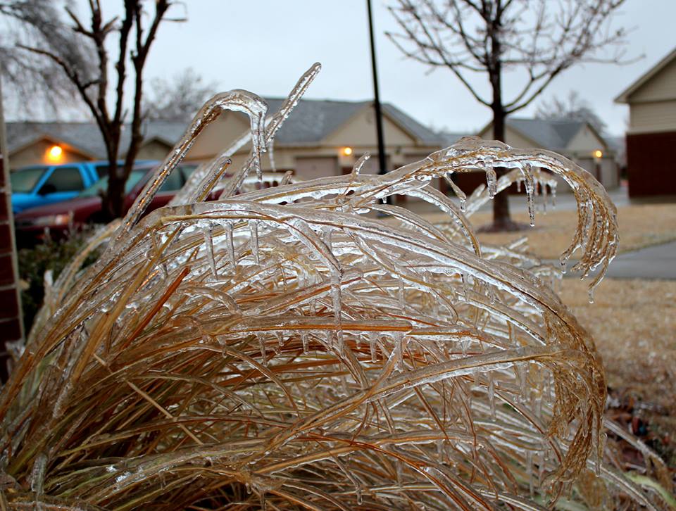 Ice Accumulation Photo for the December 20-22, 2013 Winter Storm