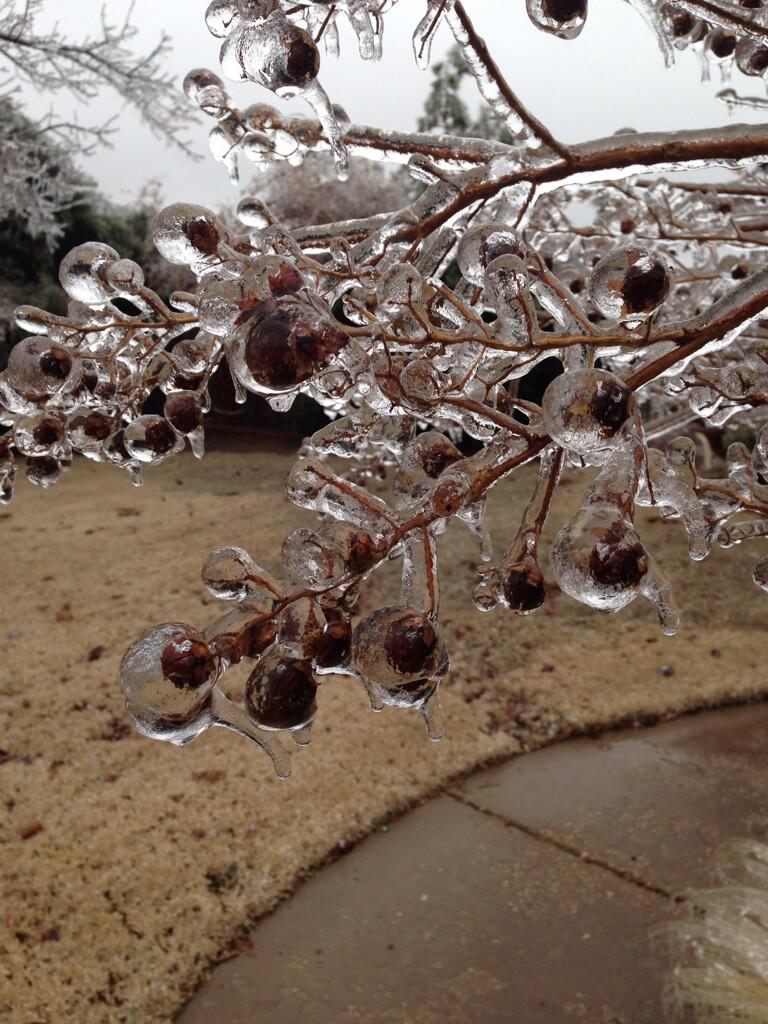 Ice Accumulation Photo for the December 20-22, 2013 Winter Storm